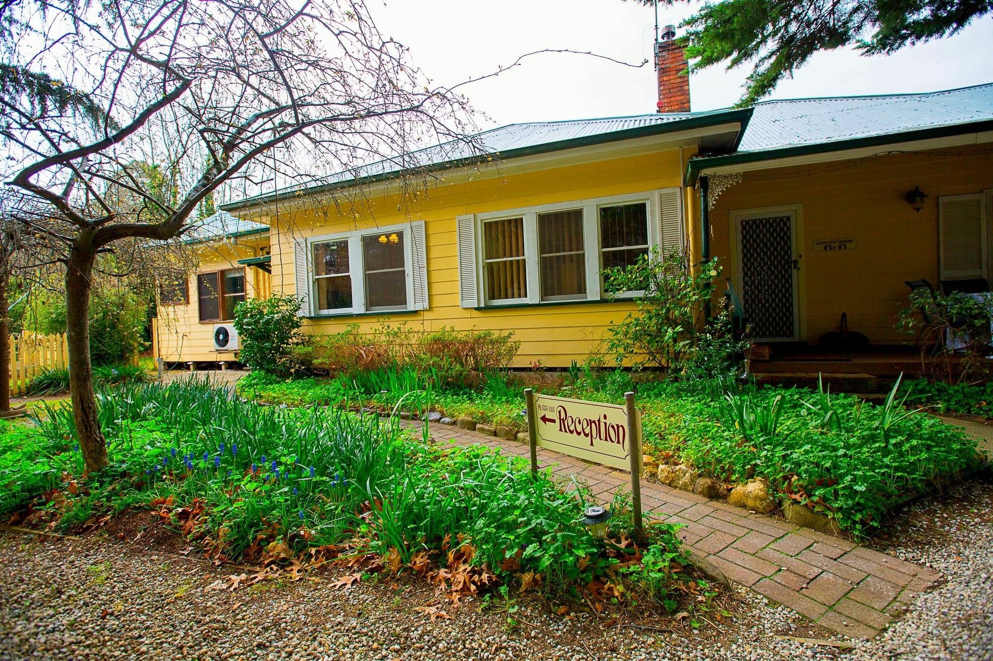 Carawatha Gardens Villa Bright Exterior photo